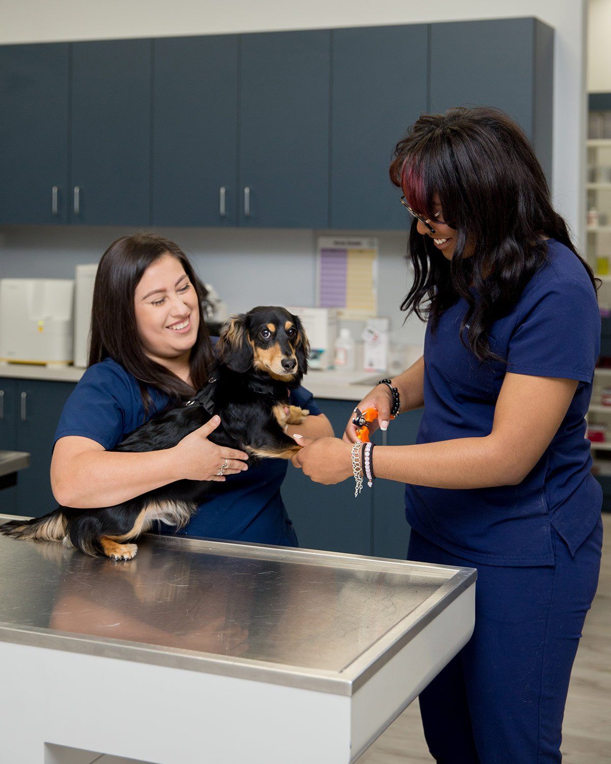 Doctor veterinarian at clinic.