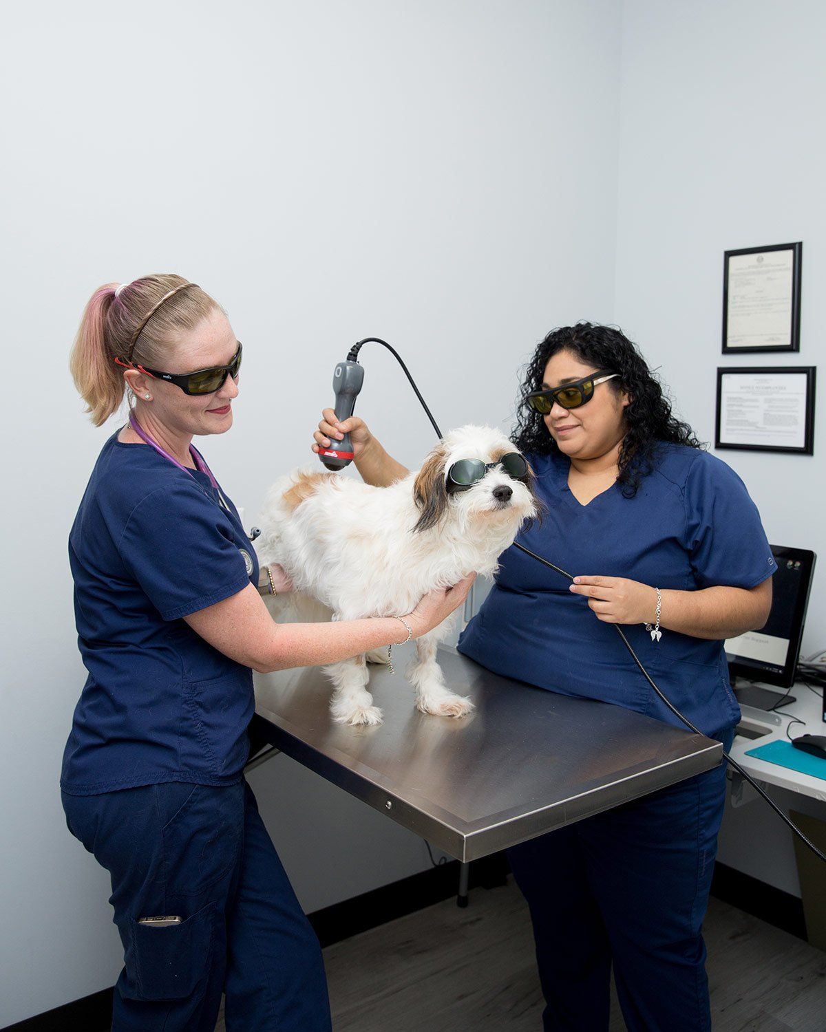 Young, charming puppy and vet doctor.