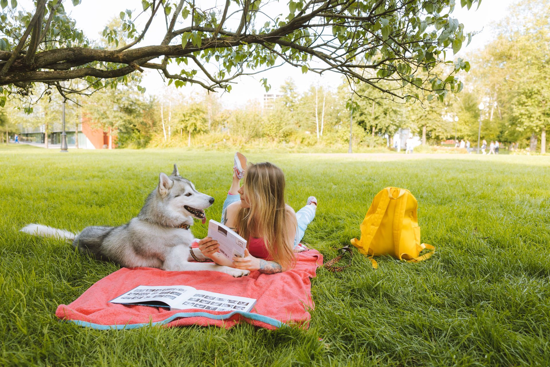 Local Student Reading Book on Blanket With Dog