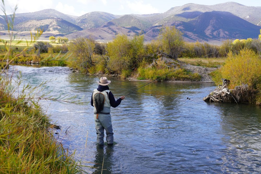 A man is fishing in a river with mountains in the background.