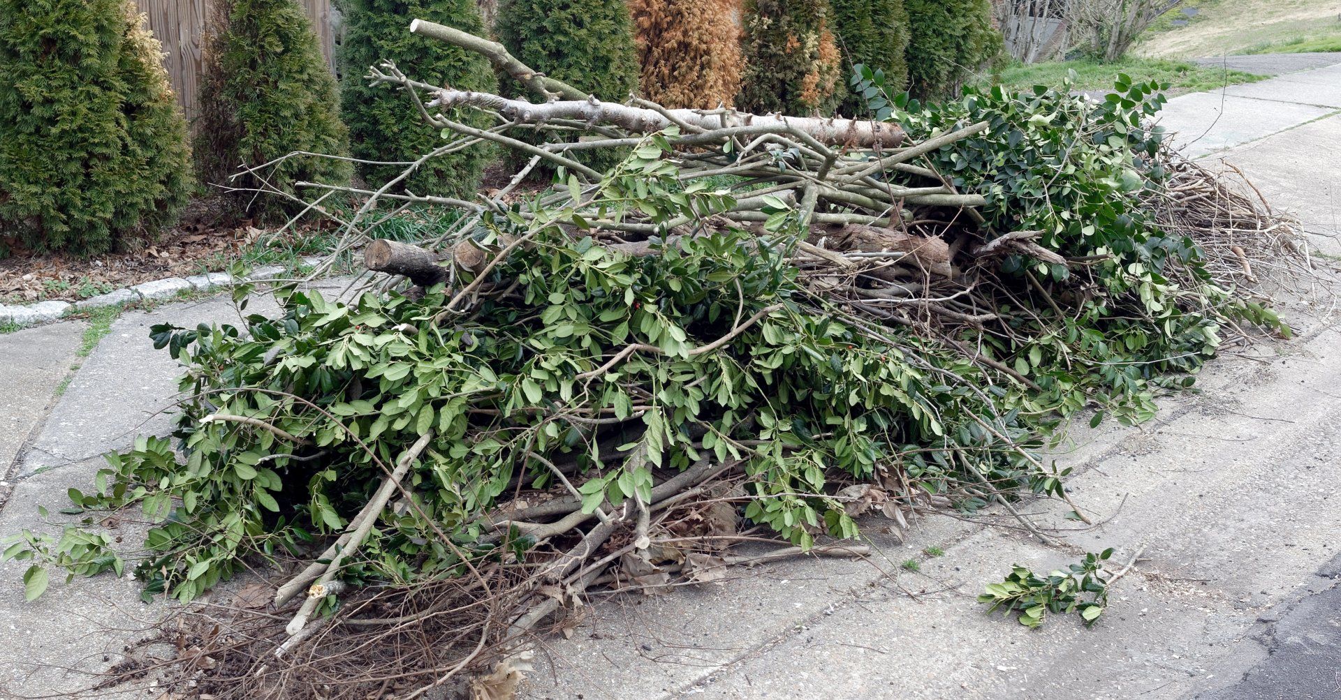 Property Cleanouts Olympia