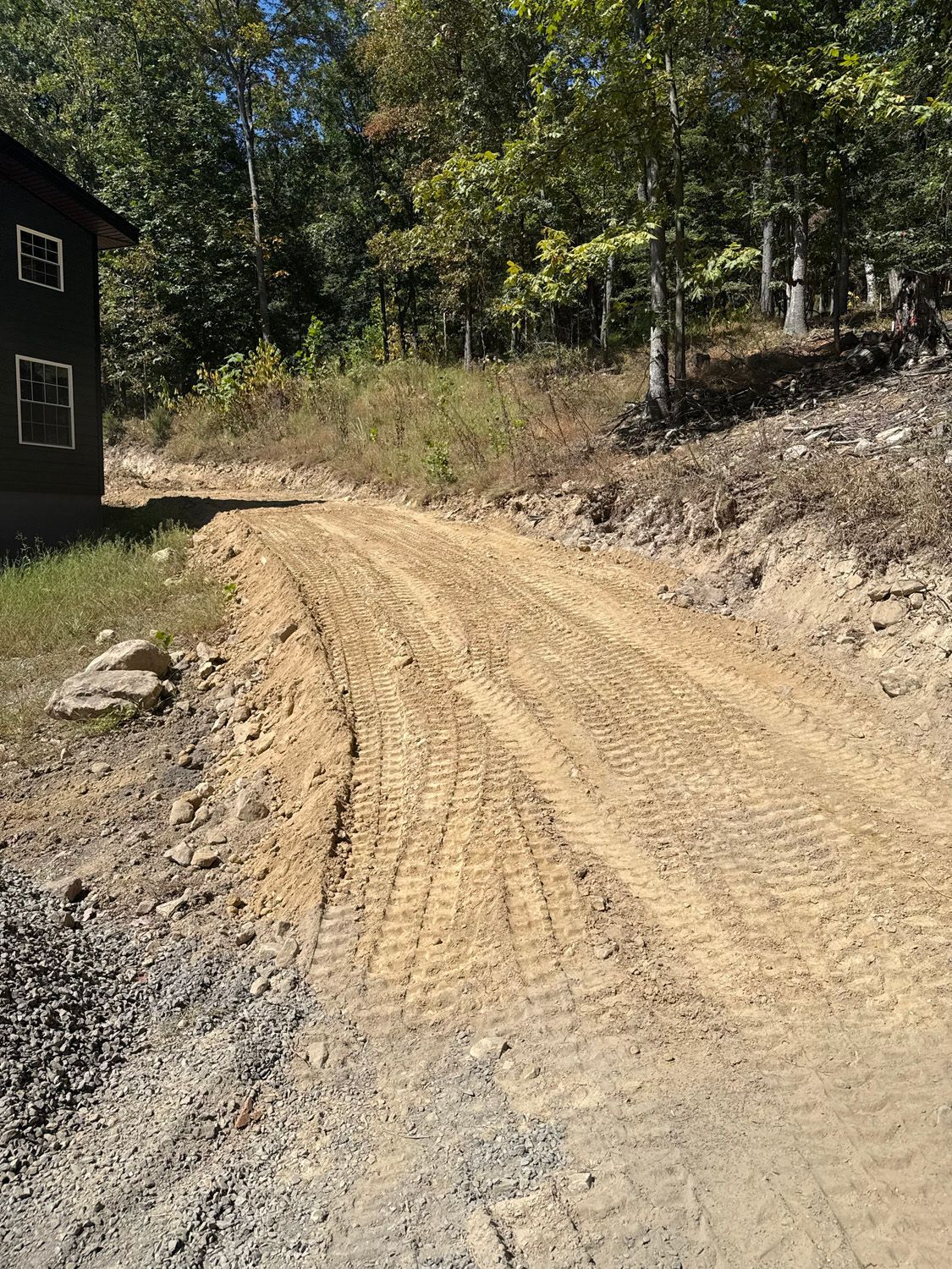 Dirt road curving through a wooded area beside a dark cabin in sunlight.