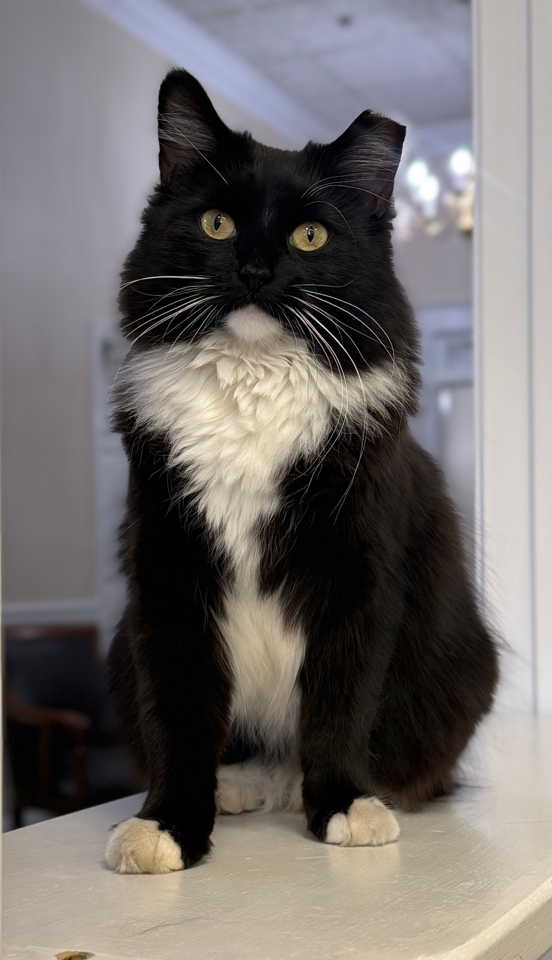 Staff Photo