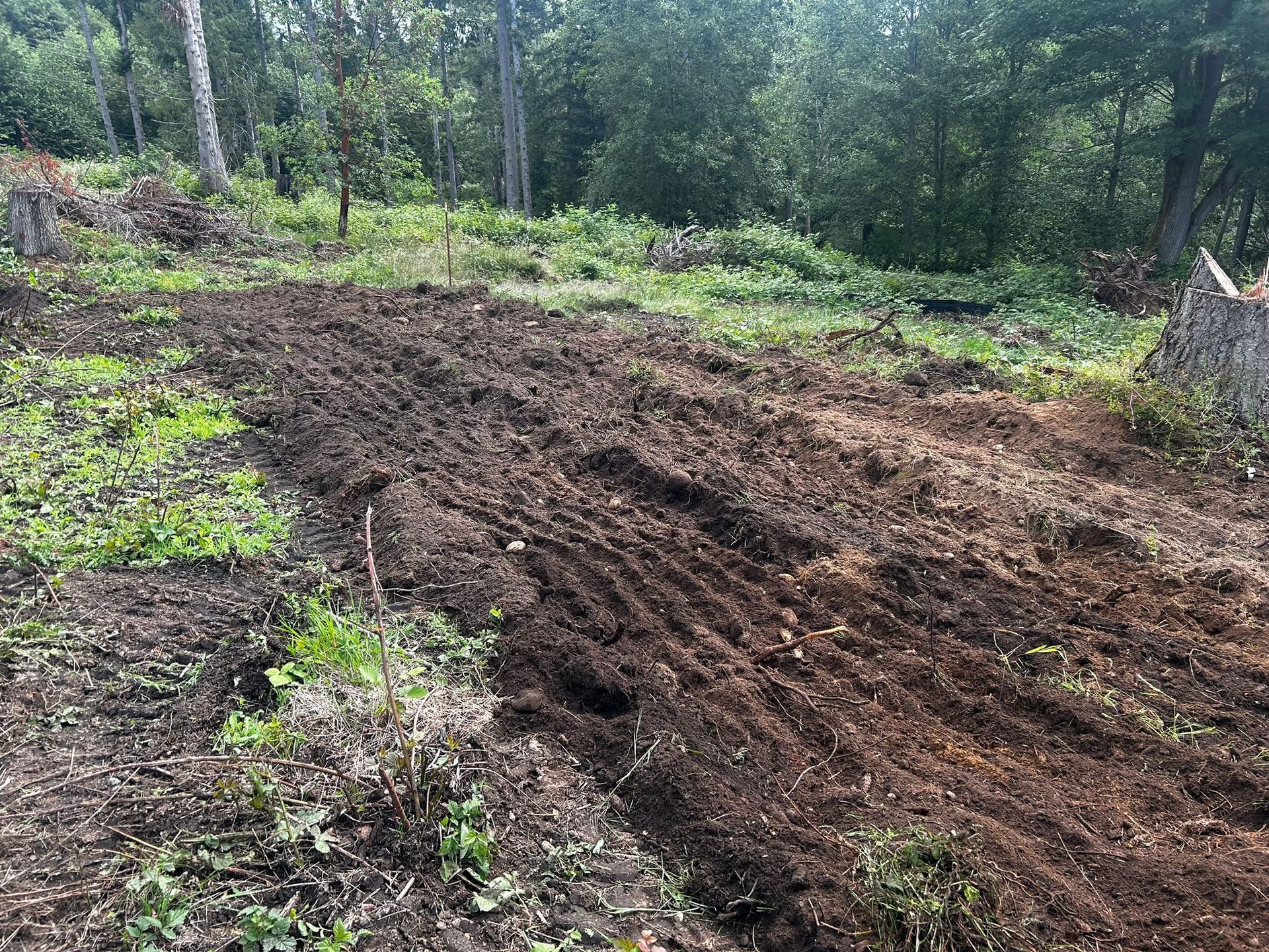 Tilled brown soil in a clearing with a forest backdrop.