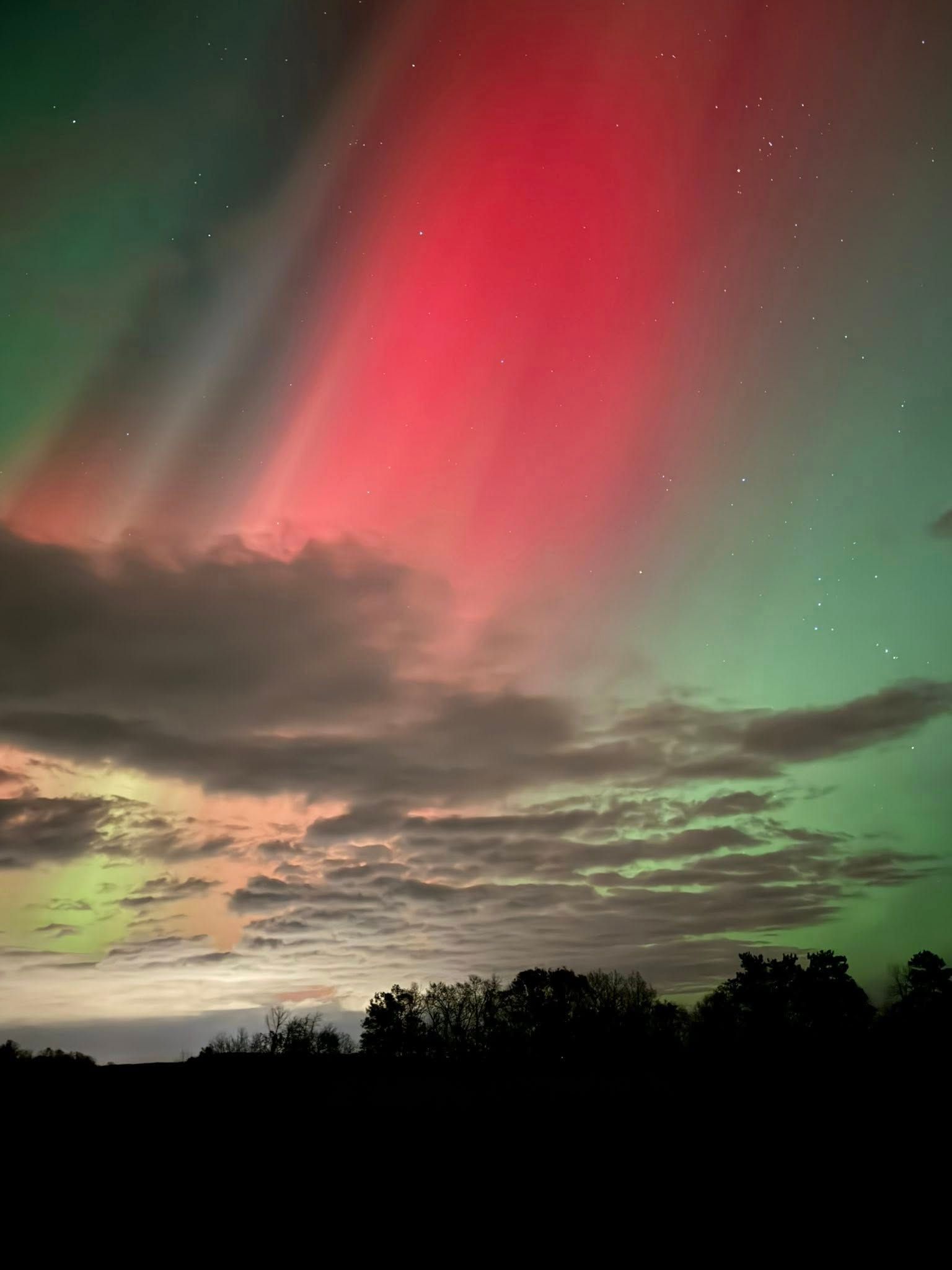 Vibrant red and green aurora borealis illuminate the night sky above a dark silhouette of trees and clouds.