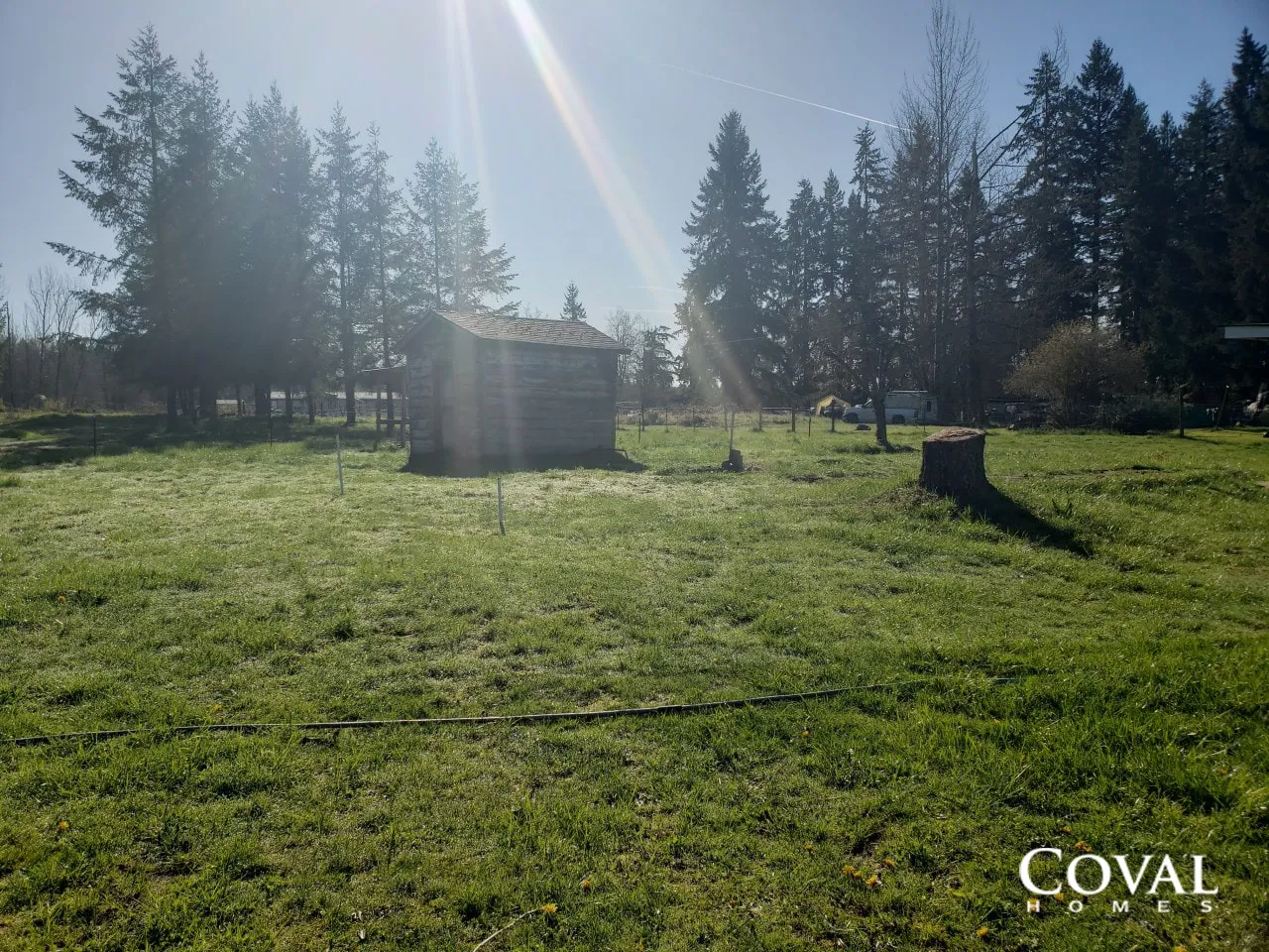 Sunny grassy field with trees and a small shed under bright sunlight