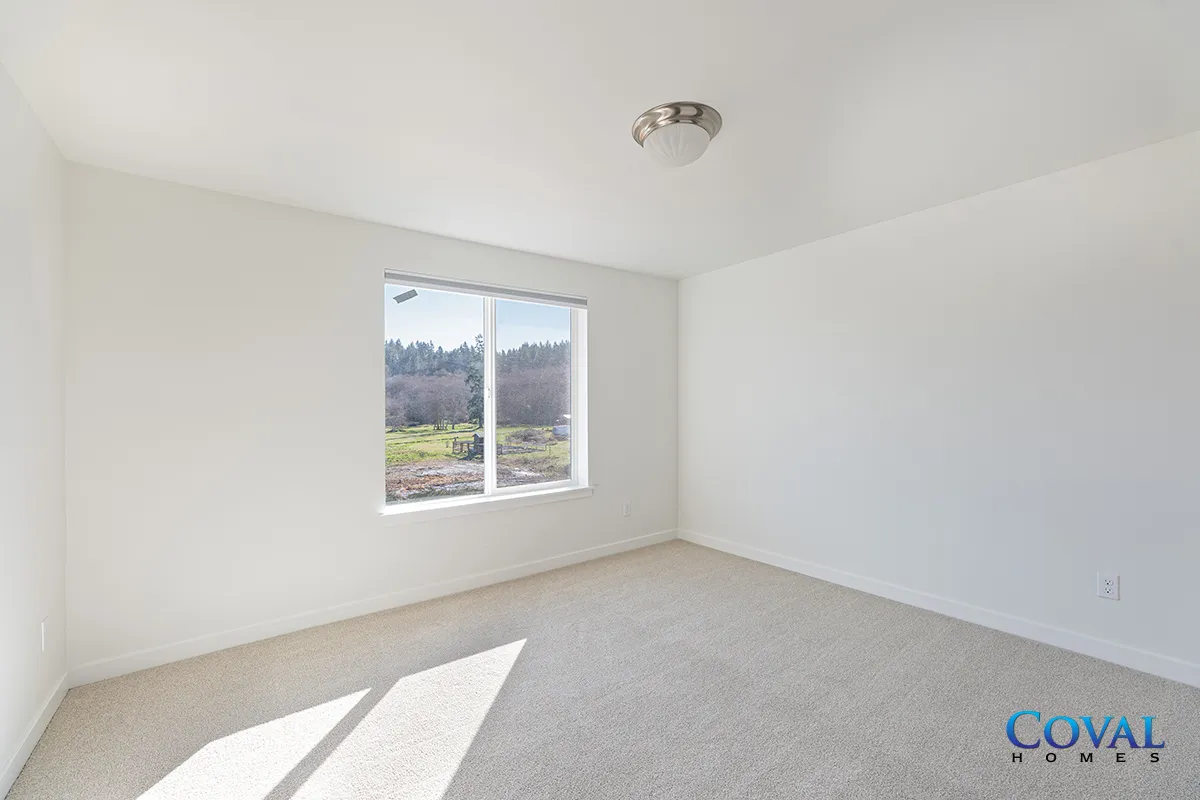 Empty white bedroom with carpet, window, and ceiling light, sunlight on the floor