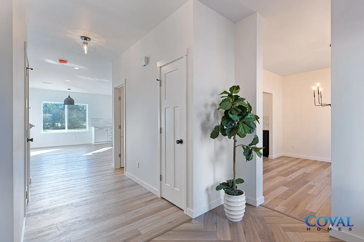 Bright white hallway opening to a living room with wood floors, large window, and a potted plant