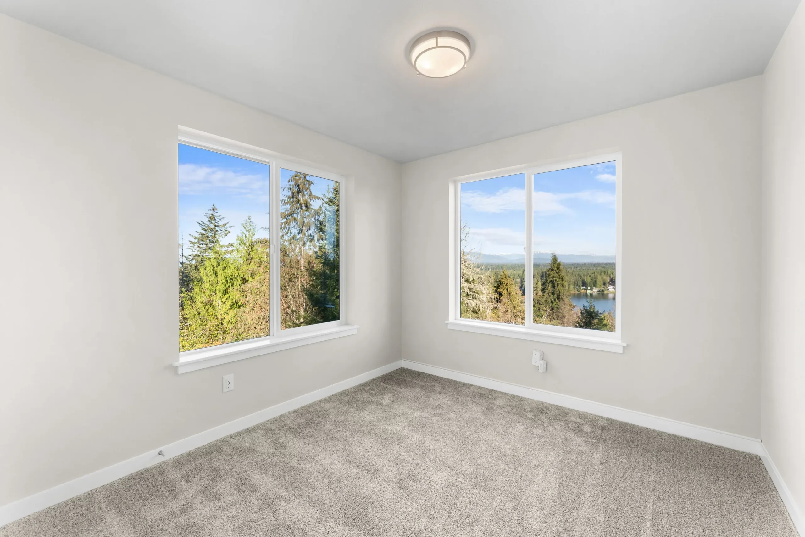 Empty bright room with white walls, gray carpet, and two windows with a scenic view