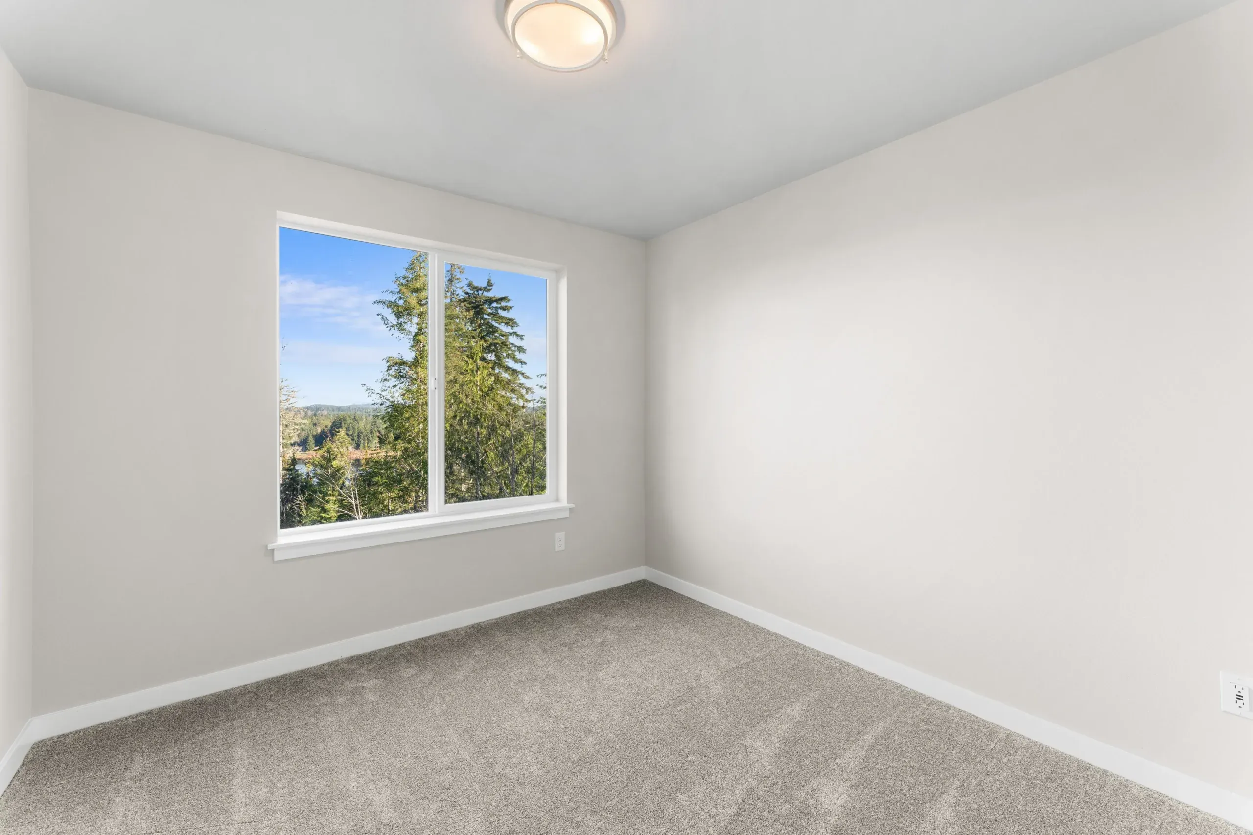 Empty white bedroom with carpet, window, and ceiling light