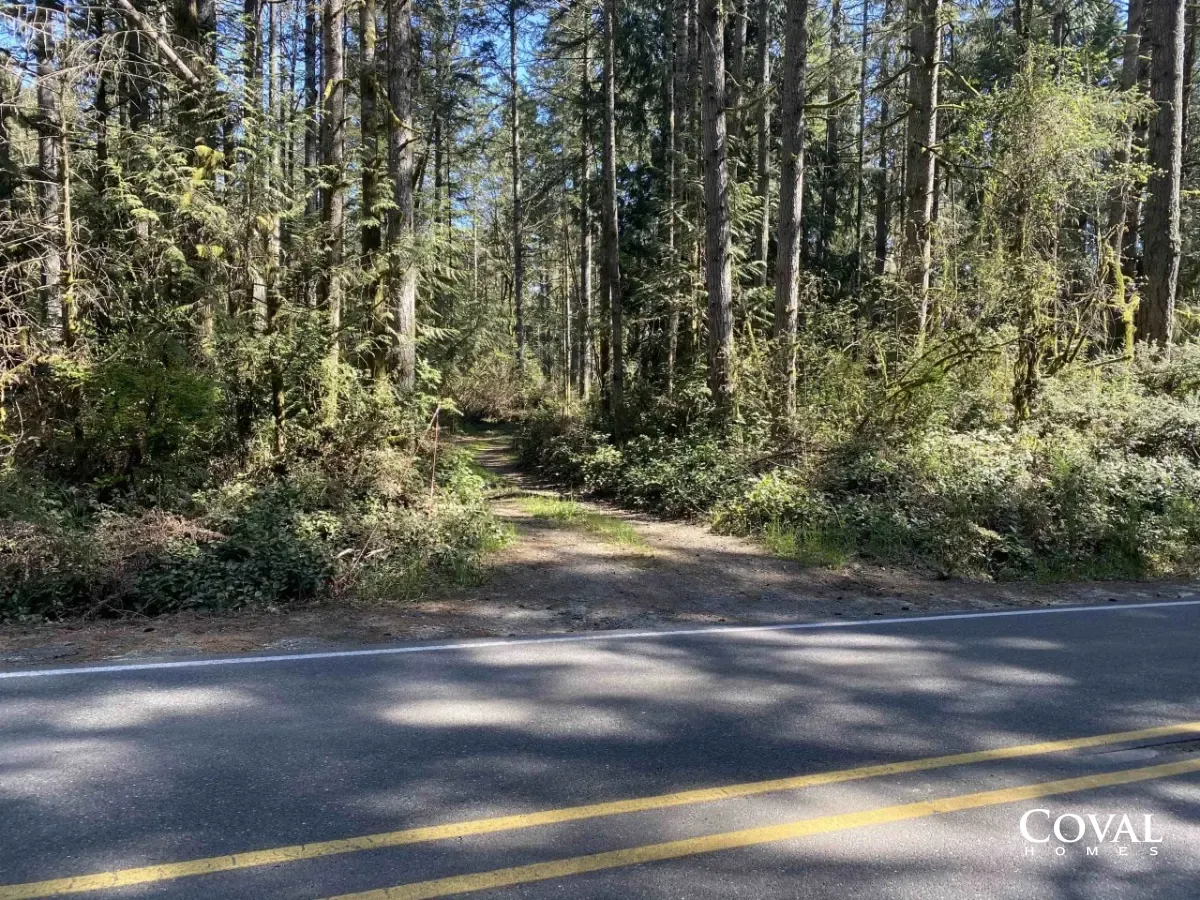 Wooded dirt road crossing a paved road in a forested area