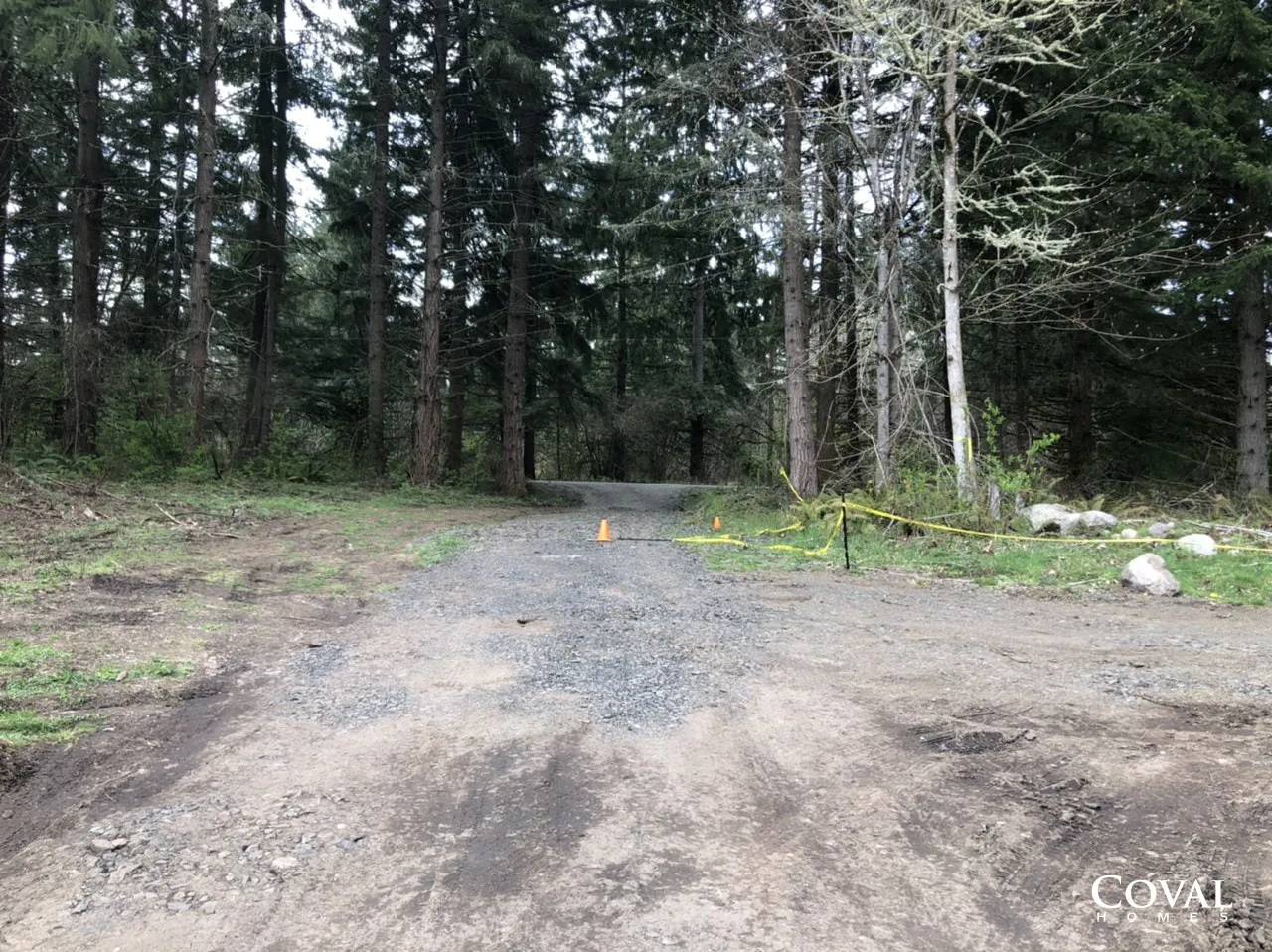 Wooded dirt and gravel path leading into a dense forest, with a small yellow object centered ahead.