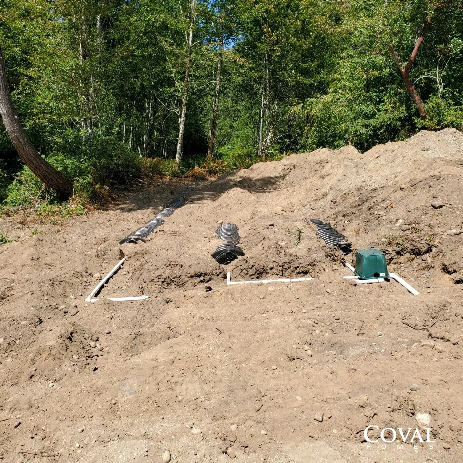 Marked sandy ground with white pipes and a green utility box beside trees in a wooded area