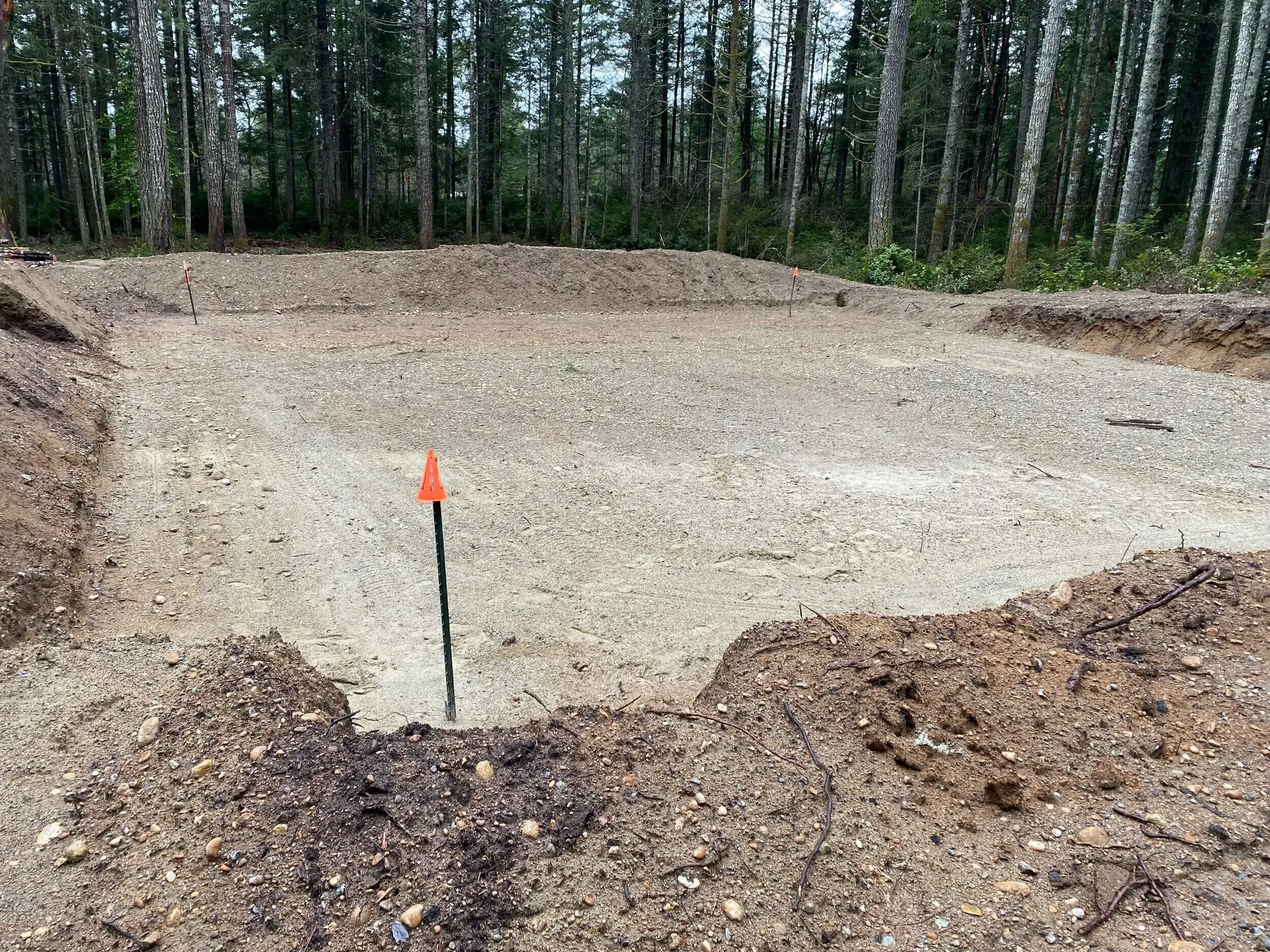 Gravel clearing with forest edge, marked by an orange survey stake in the foreground.