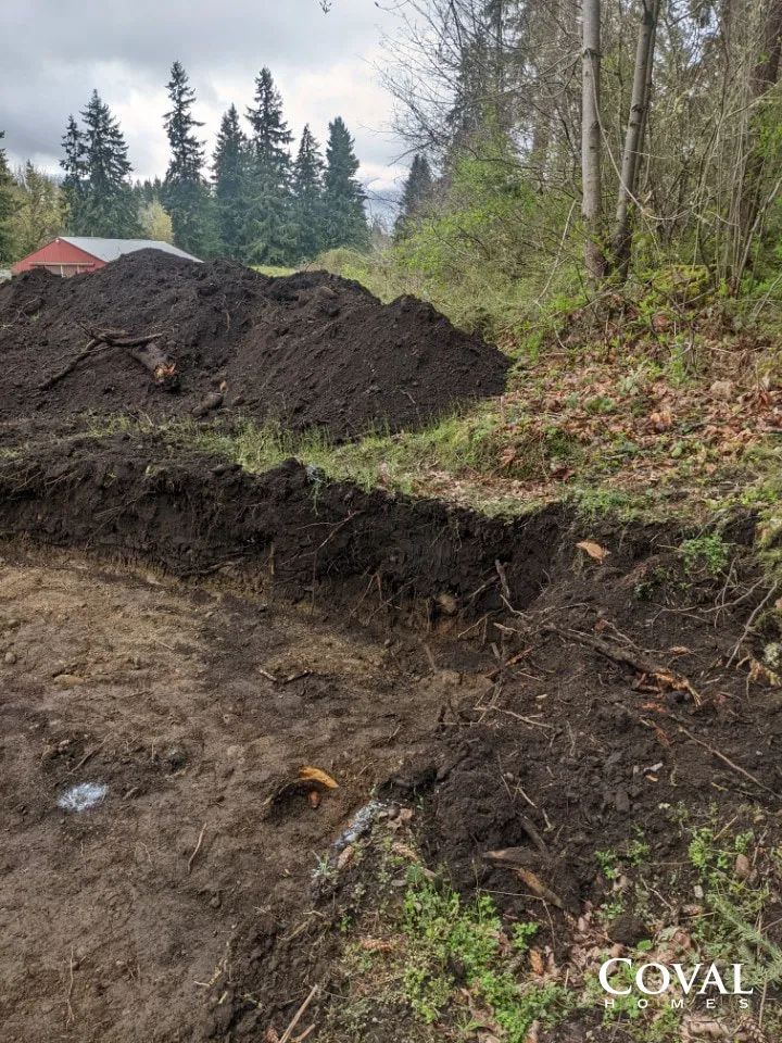 Mud piles and excavated earth beside a forest clearing under cloudy sky.