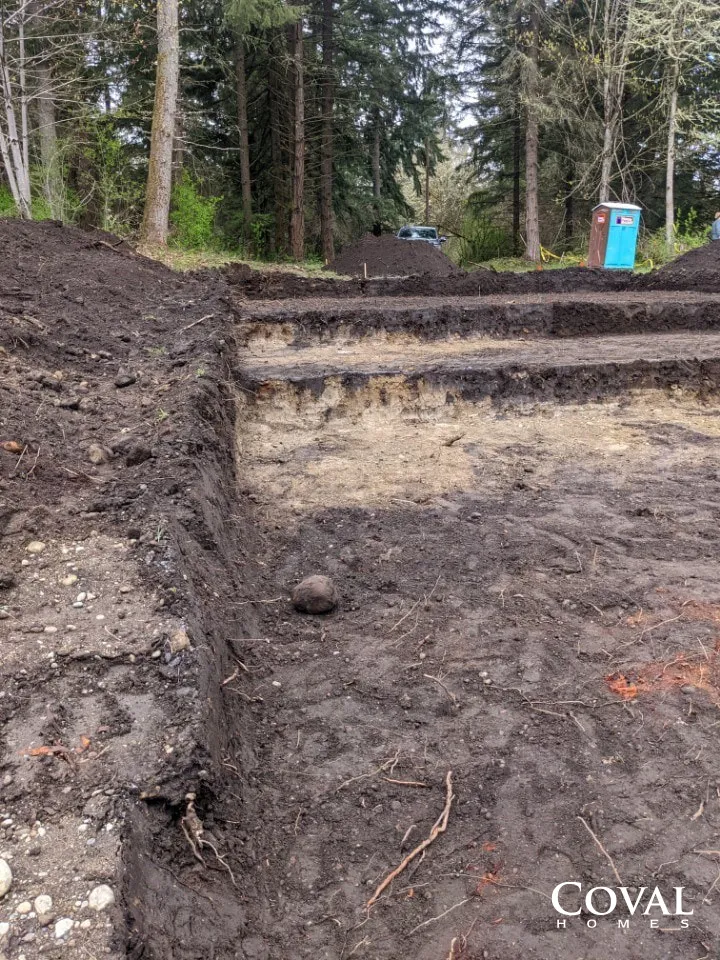 Excavated dirt steps and trench in a wooded area, with a blue portable toilet in the background.