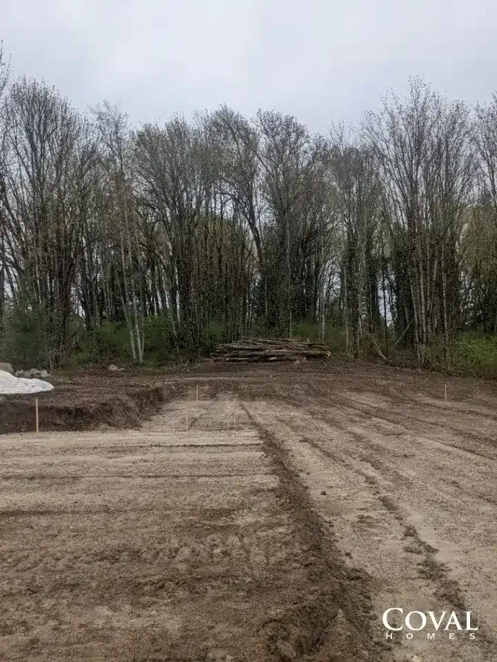 Mud clearing with tire tracks beside a line of bare trees under an overcast sky.