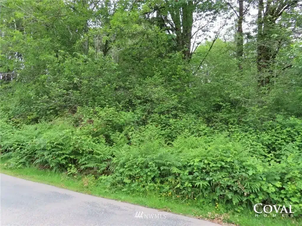 Dense green roadside trees and shrubs beside a curving paved road