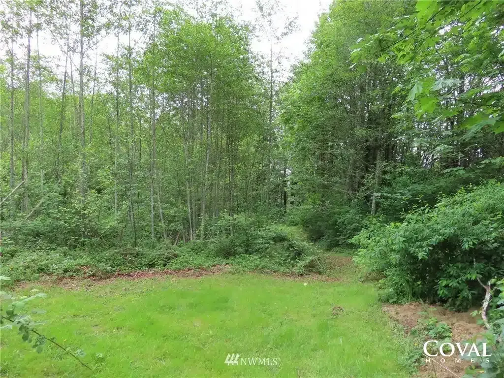 Grassy clearing bordered by dense green trees and shrubs under an overcast sky.