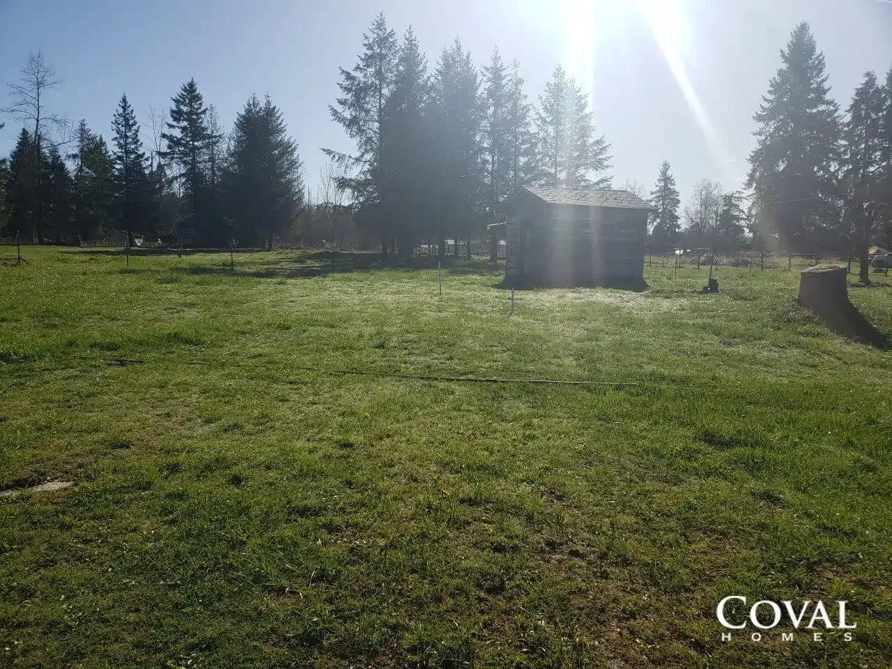 Sunny grassy field with trees, a small cabin, and a stump under bright sunlight