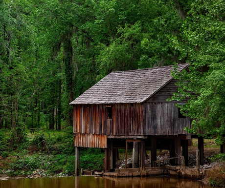 A small wooden house is sitting on stilts over a body of water surrounded by trees.