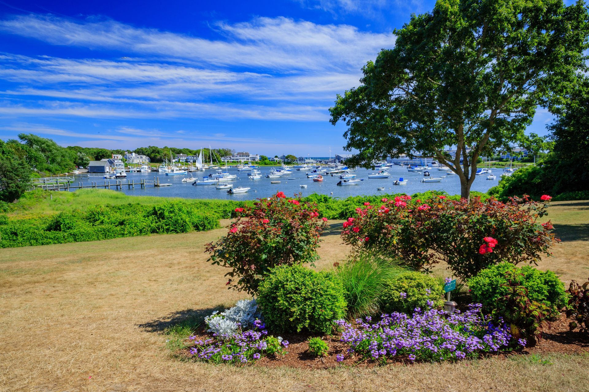 A garden with flowers and a tree with boats in the background