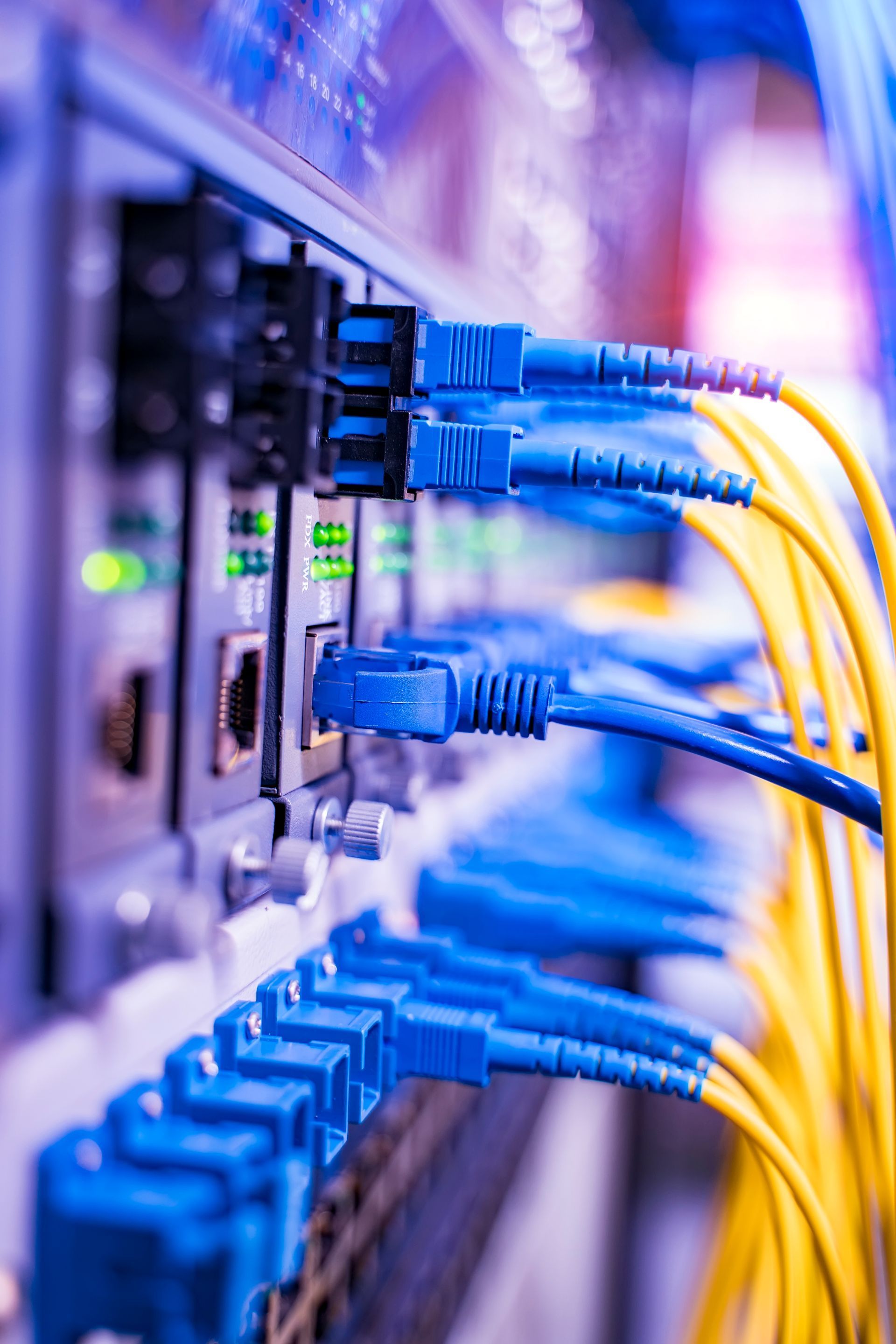 Blue network cables plugged into a server switch in a data center, with yellow cables in the background