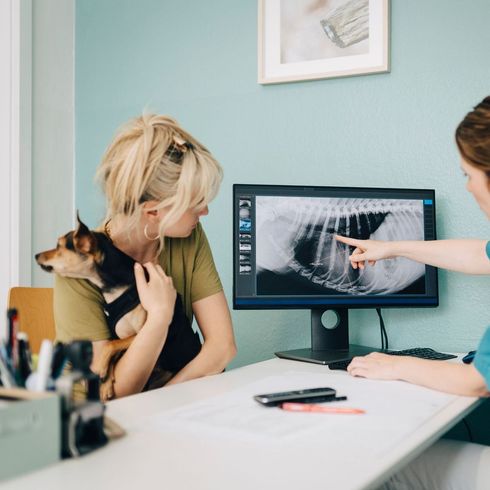 Una donna indica una radiografia di un cane sullo schermo di un computer