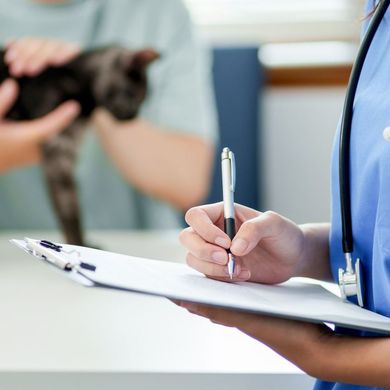 Un veterinario sta scrivendo su un blocco appunti mentre una persona tiene in braccio un gatto