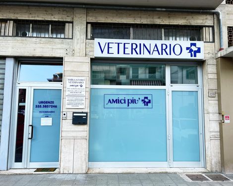 insegna