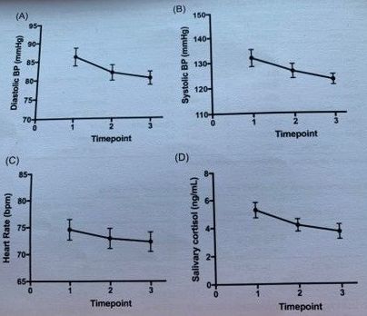 MAX Havening Techniques® Training Therapy & Coaching