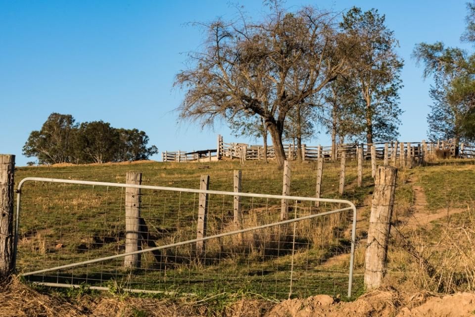 a Fence With a Gate in the Middle of a Field With Trees in the Background — Tony Sinclair Fencing In Bellingen, NSW 
