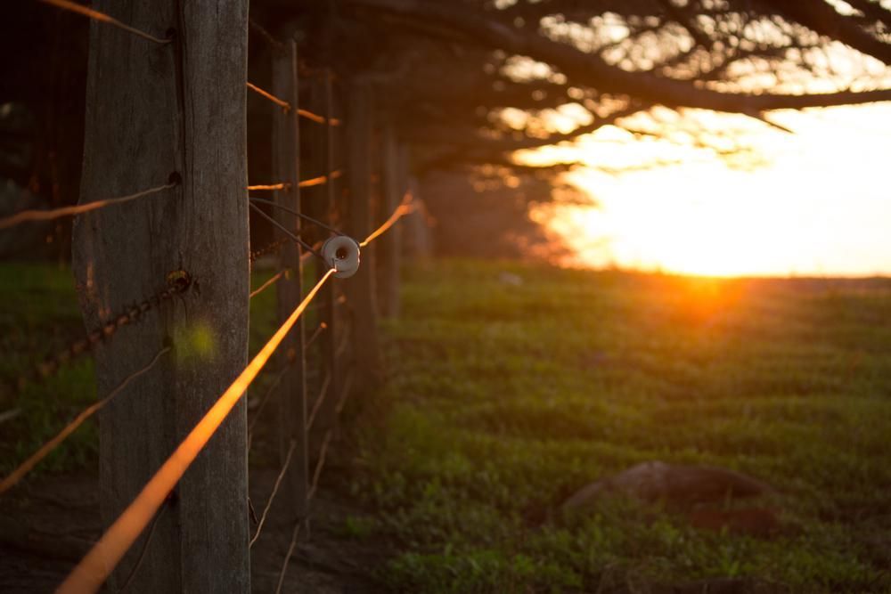 the Sun is Setting Behind a Fence in a Field — Tony Sinclair Fencing In Inverell, NSW