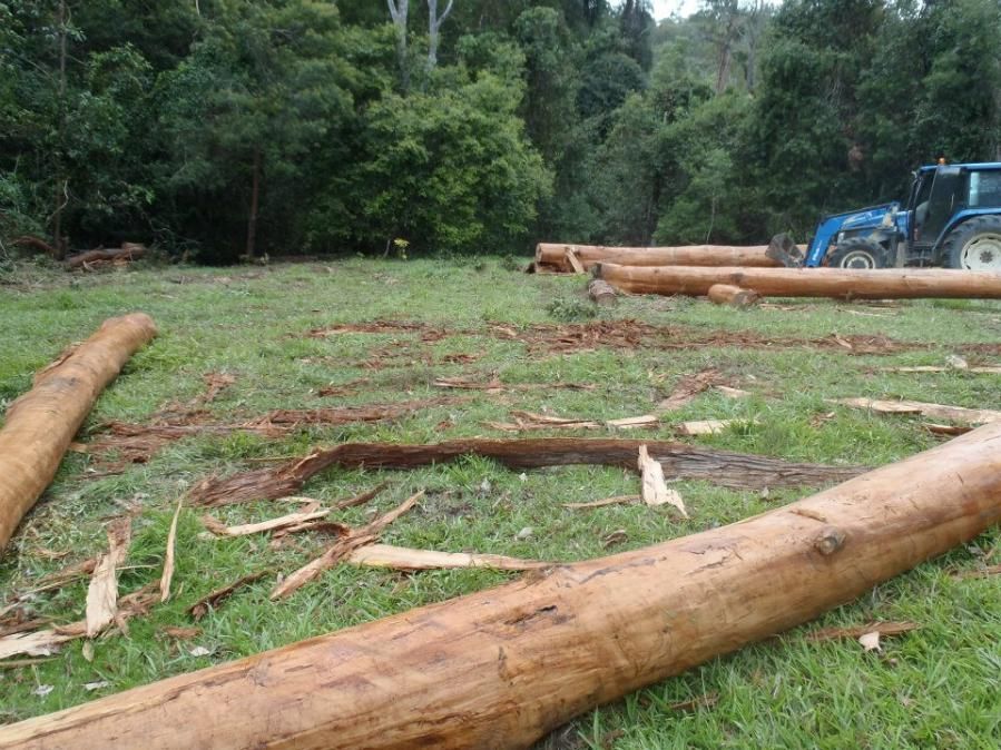 a Lot of Logs Are Laying on the Grass in a Field With a Tractor in the Background — Tony Sinclair Fencing In Bellingen, NSW 

