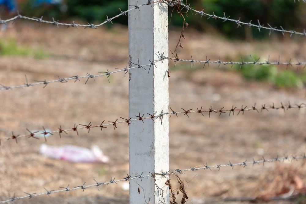 a Close Up of a Barbed Wire Fence With a White Pole in the Foreground — Tony Sinclair Fencing In Bucca, NSW