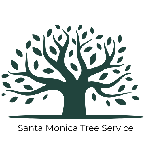Santa Monica Tree Service