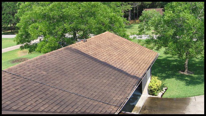 Shingle Roof Cleaning