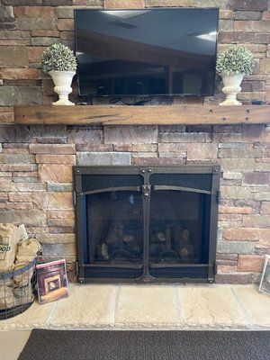 A stone fireplace featuring a mounted flat-screen TV above a wooden mantel, two potted plants, and a black mesh door.