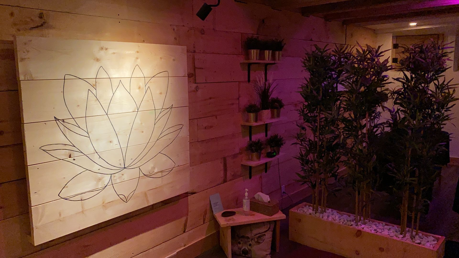 Œuvre murale en forme de fleur de lotus dans un espace de détente du Spa Centrale Parc, baigné d'un éclairage tamisé et entouré de végétation.