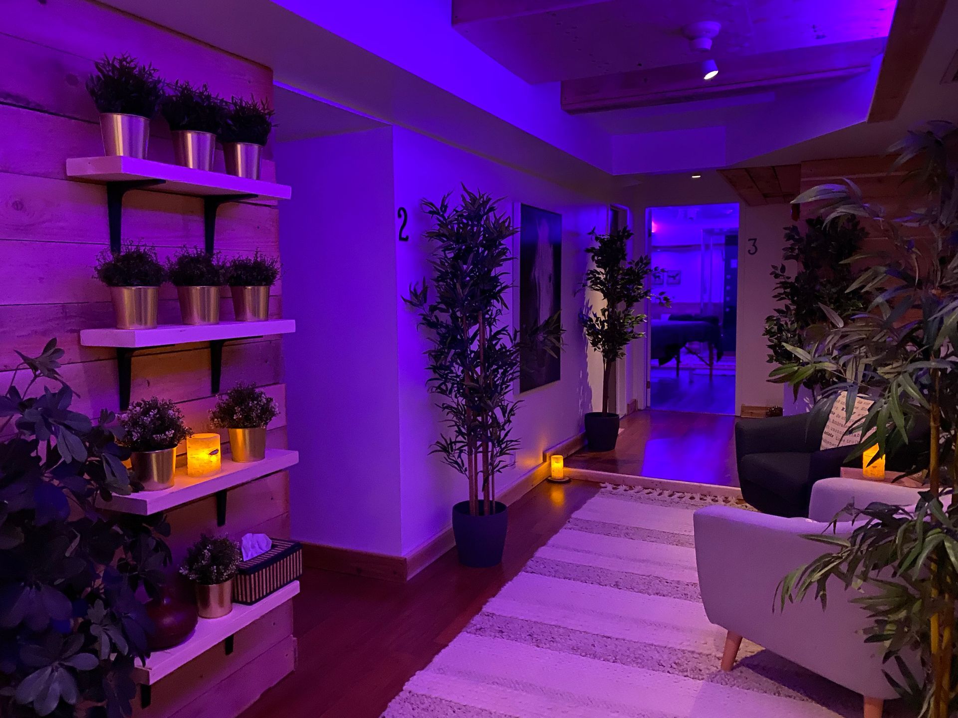 Vue du salon du Spa Centrale Parc où matériaux naturels, végétation et éclairage d'ambiance créent un environnement apaisant.