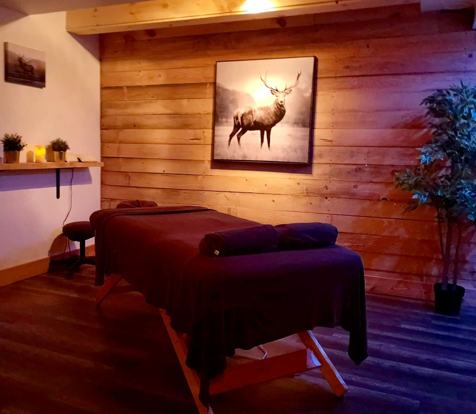 Salle de soins du Spa Centrale Parc aménagée pour offrir différents soins de bien-être dans une ambiance détendue.