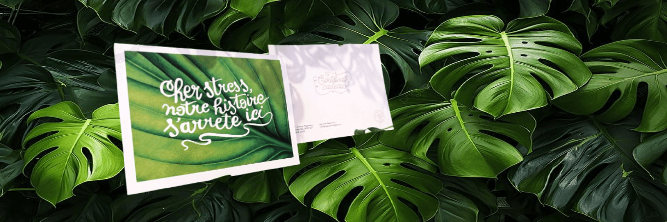 Two wedding invitation cards resting on lush green Monstera leaves.