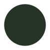 A solid, dark green circle.