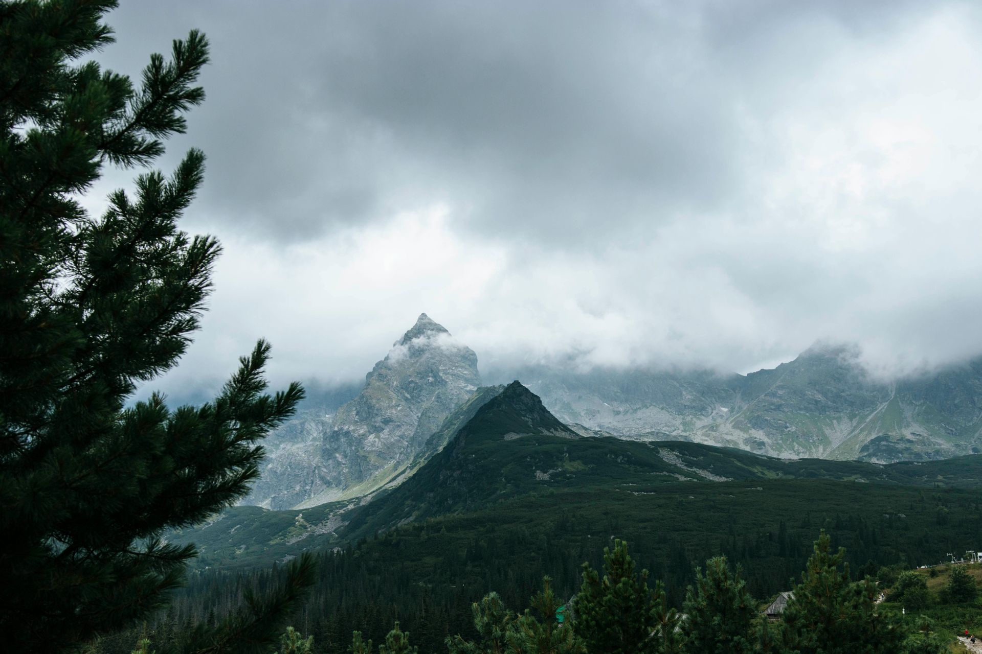 A craggy mountain peak rises through heavy gray clouds above a forest-covered hillside, framed by pine branches.