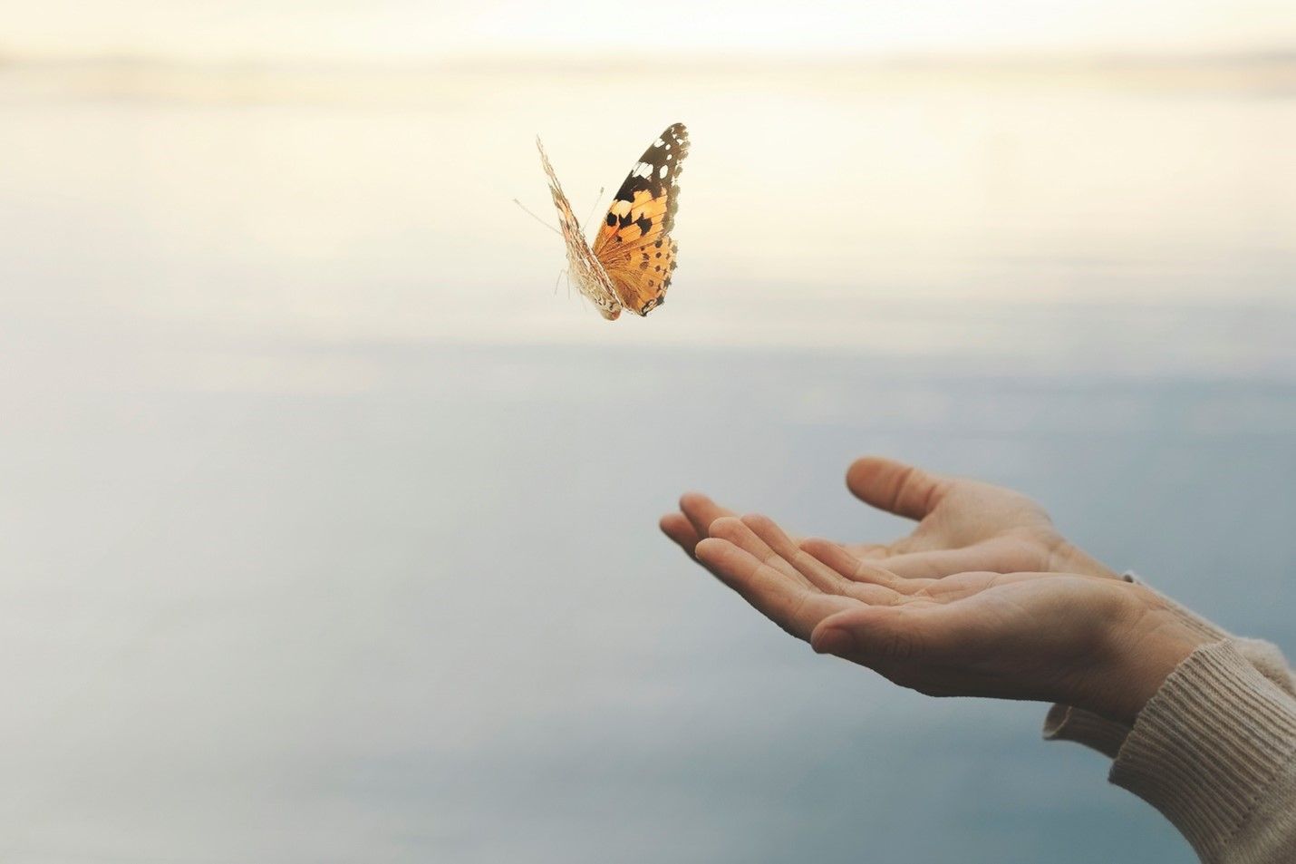 hand-letting-go-of-butterfly