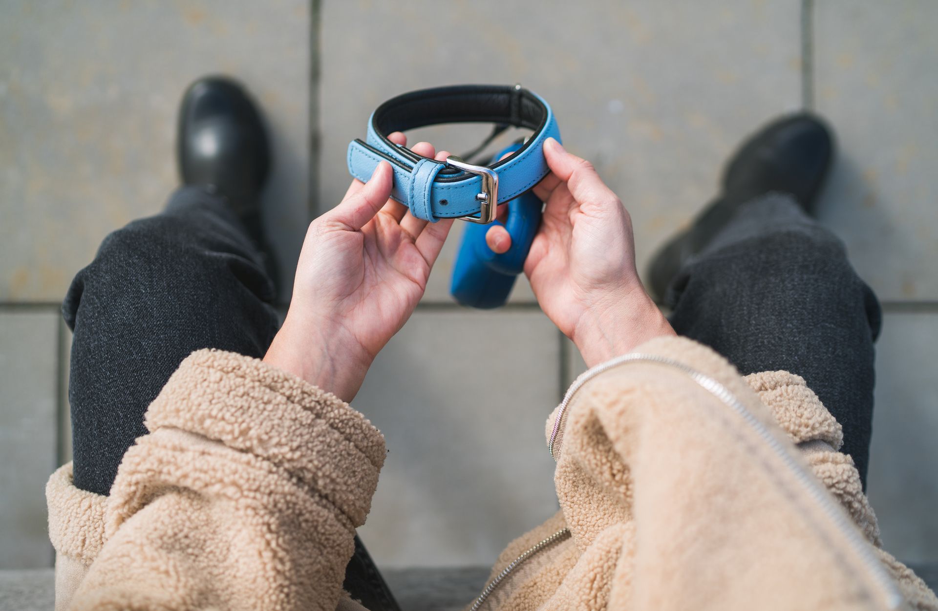 person-holding-dog-collar