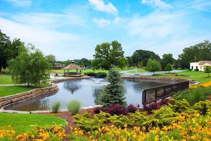 Serene park pond with flowers, trees, a small bridge, and a bright blue sky