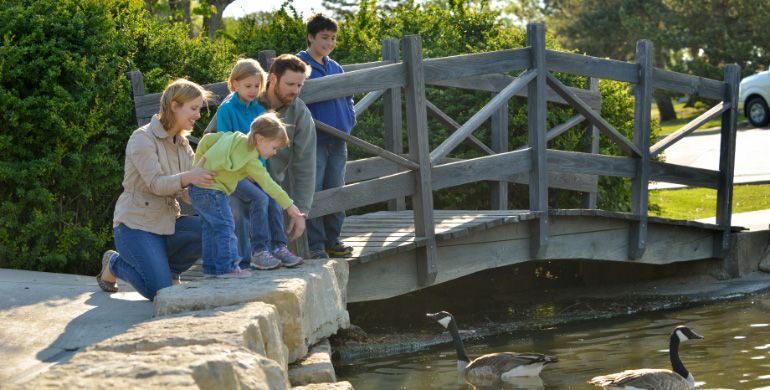 People leaning over a small wooden bridge to feed ducks in a sunny park pond