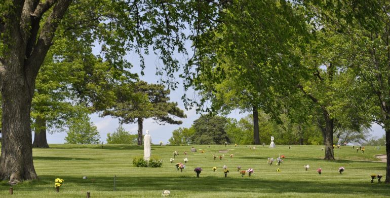 Grassy park with scattered geese beneath large green trees on a sunny day