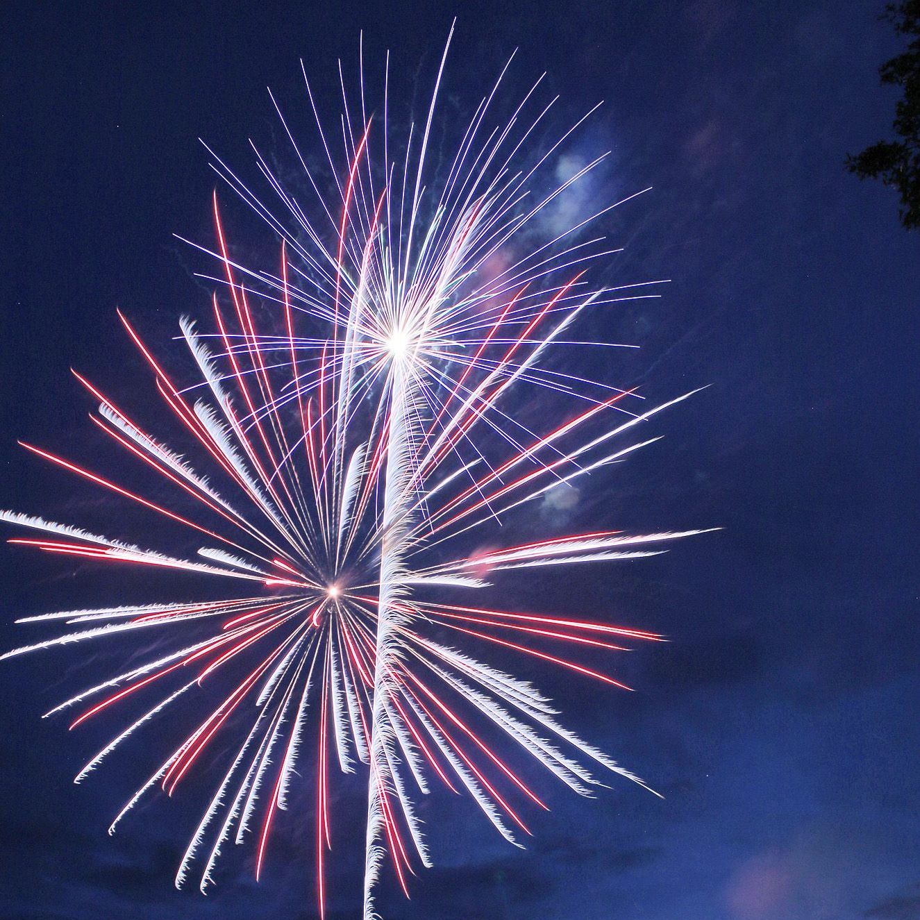 Fireworks display in red, white, and blue against a dark blue night sky.